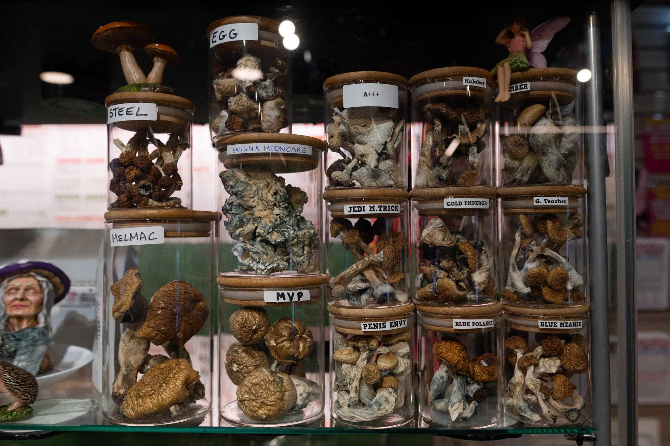 buy psilocybin mushroom usa