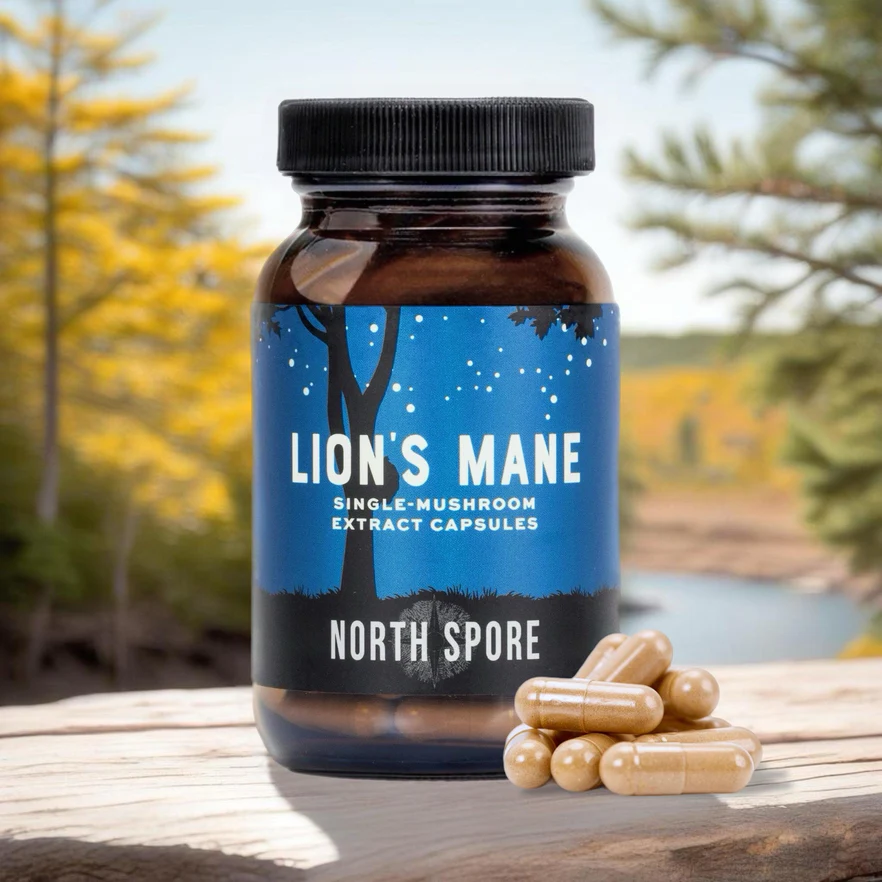 organic lion's mane mushroom capsules organic lion's mane mushroom capsules